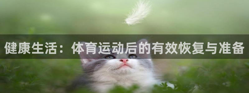三亿体育