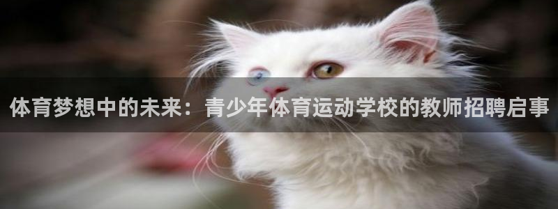 三亿体育