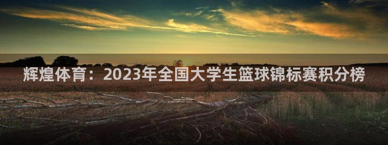 三亿体育网