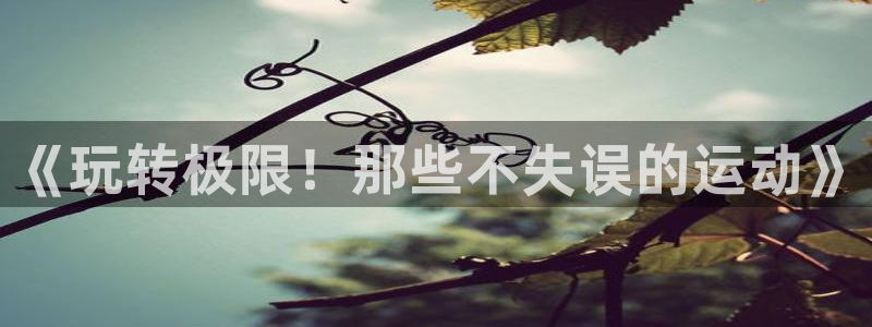 三亿体育网