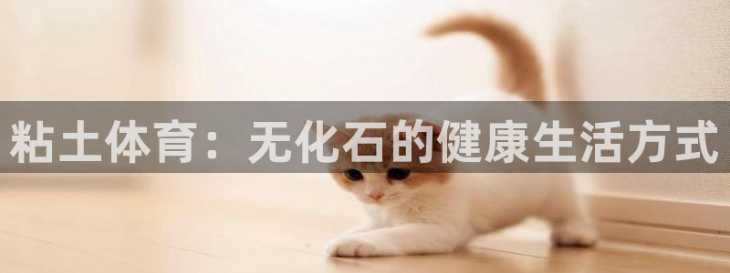 三亿体育：粘土体育：无化石的健康生活方式