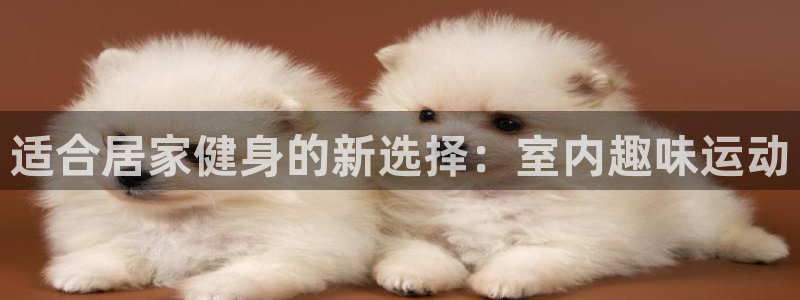 三亿体育网页版：适合居家健身的新选择：室内趣味运动