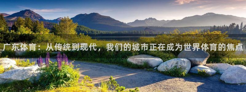 三亿体育