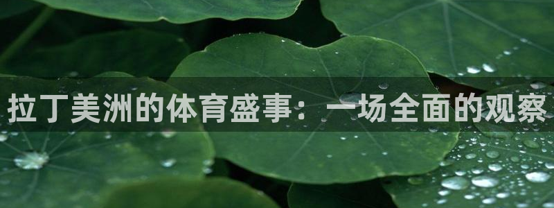 三亿体育网页版