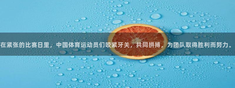 三亿体育网页版