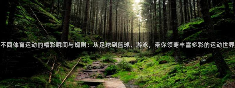 三亿体育登录：不同体育运动的精彩瞬间与规则：从足球到篮球、游泳，带你领略丰富多彩的运动世界