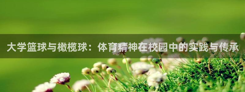 三亿体育登录：大学篮球与橄榄球：体育精神在校园中的实践与传承
